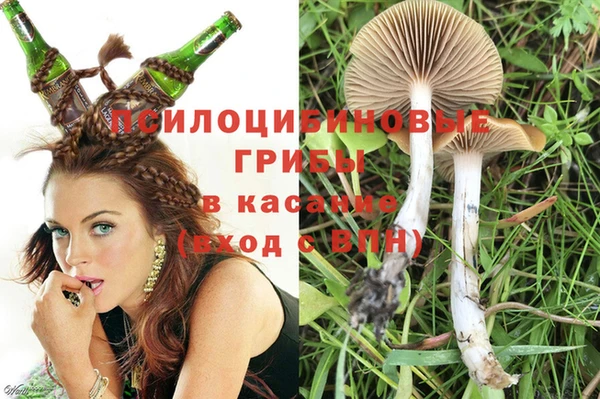 дмт Лихославль